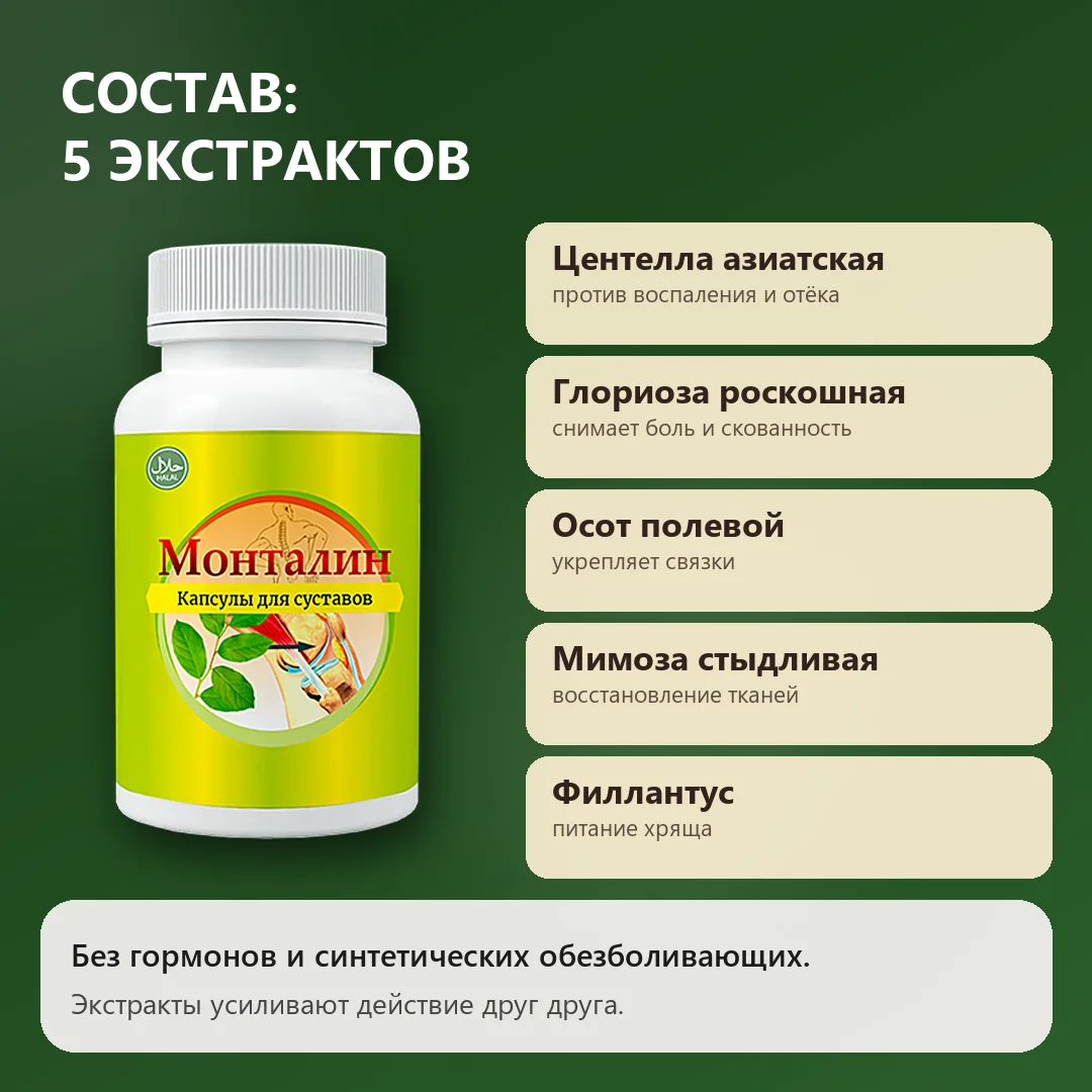 Состав Монталина: пять экстрактов